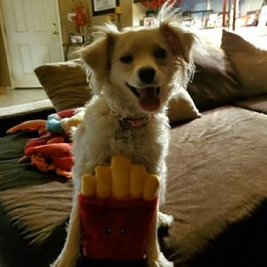 Meet your Posher, Rachael